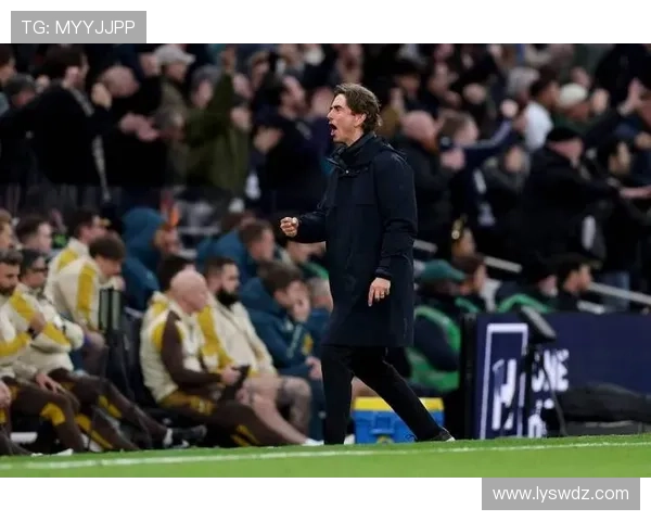 TA谈热刺前车鉴三队同命降级